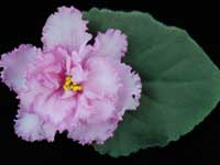 (image for) Betty Jean