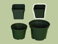 (image for) 2" Square Plastic Pots