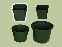 (image for) 2½" Square Plastic Pots