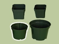(image for) 3" AZ Round Plastic Pots