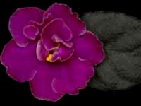 (image for) Red Tiger