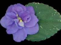 (image for) Stormy Rage