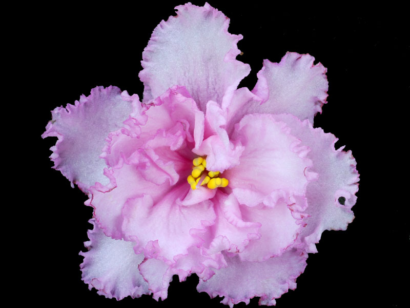 (image for) Betty Jean