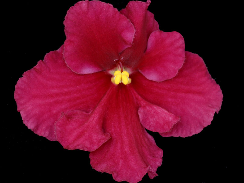 (image for) Burnt Autumn