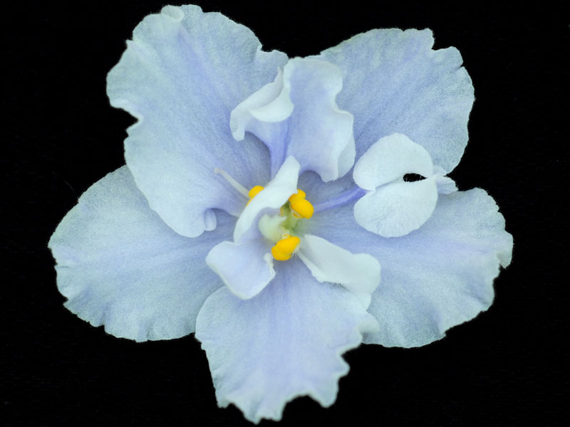 (image for) Easy Breezy Day