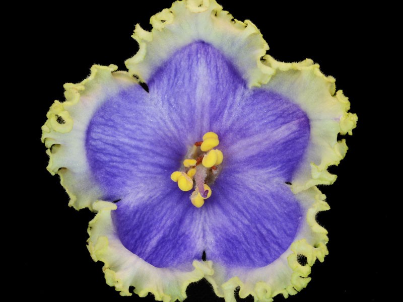 (image for) Evening Escape