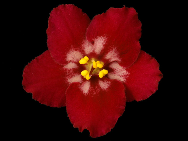 (image for) Heart's Aglow