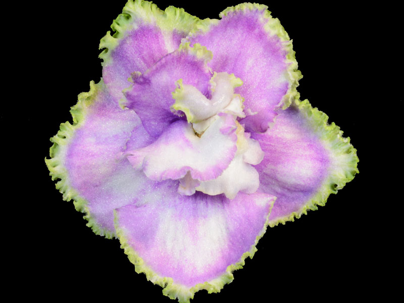 (image for) Hunter's Roping the Wind