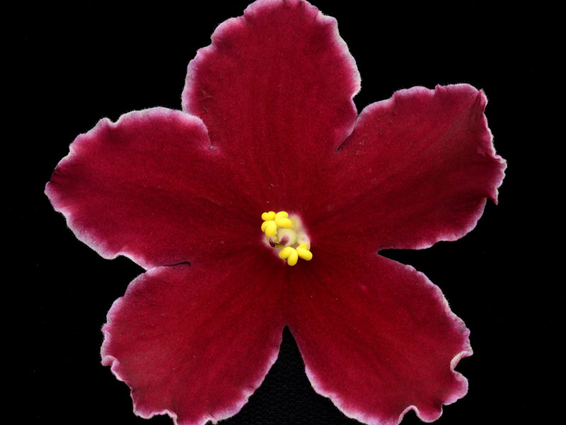 (image for) Meant to Be