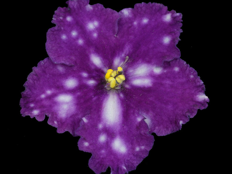 (image for) Music Maker