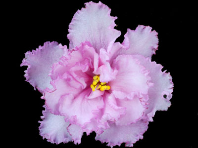 (image for) Betty Jean