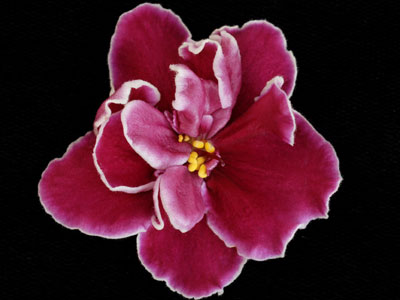 (image for) Girls' Night Out