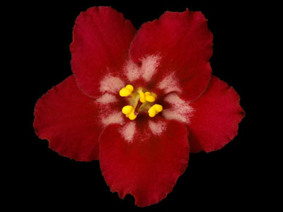 (image for) Heart's Aglow