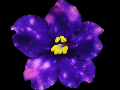 (image for) Jere's Kaleidescope