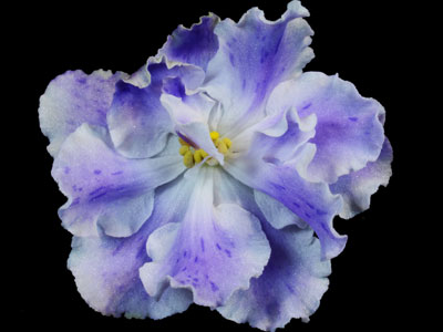 (image for) Lightspeed