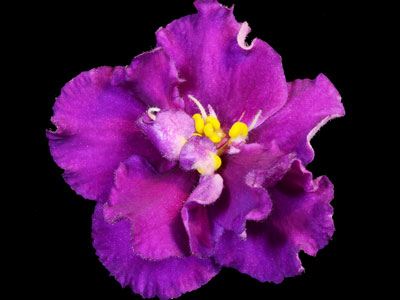 (image for) Ma's Deep Secret