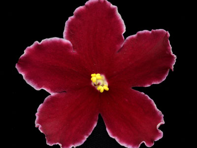 (image for) Meant to Be