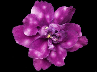 (image for) Optical Illusion