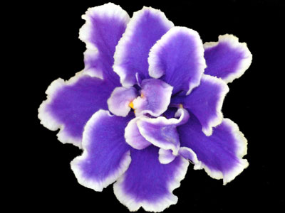 (image for) Pearl Lake