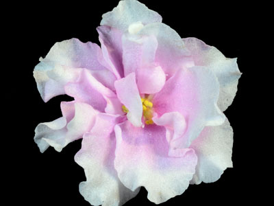 (image for) Princess Peach