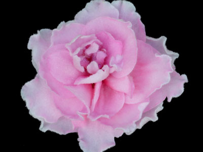 (image for) Rose Bouquet