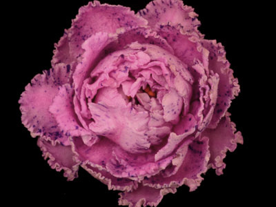 (image for) Sentimental Journey