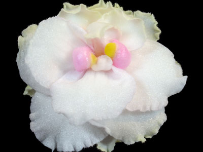 (image for) Watermelon Snow